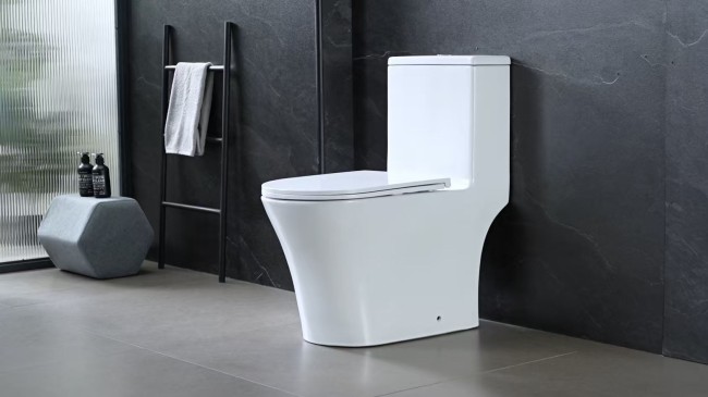 Напольный унитаз Сeramalux TR455MN (TR80687) монолит 1