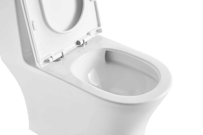 Напольный унитаз Сeramalux TR455MN (TR80687) монолит 1