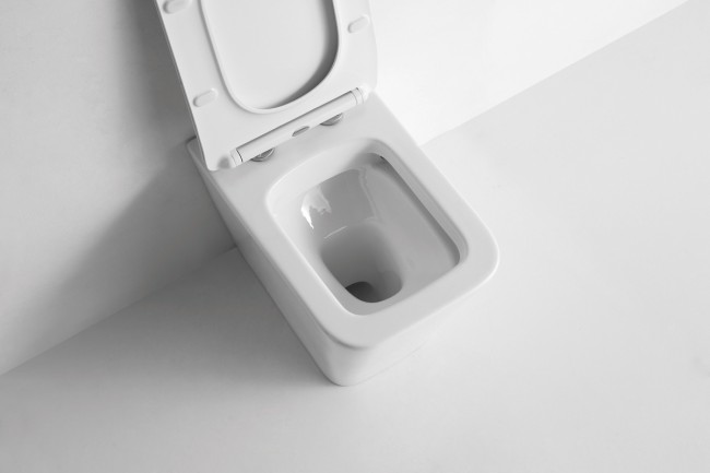 Унитаз приставной CeramaLux 3170 Унитаз приставной CeramaLux 3170