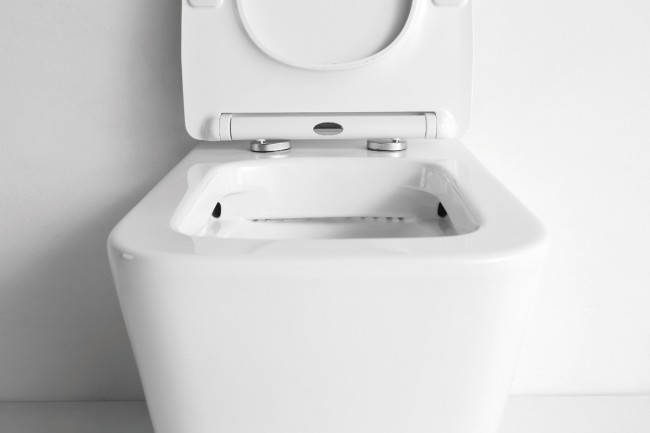 Унитаз приставной CeramaLux 3170 Унитаз приставной CeramaLux 3170