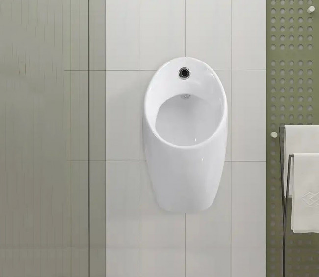 Писсуар подвесной CeramaLux X560P Писсуар подвесной CeramaLux X560P