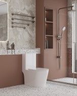 Напольный унитаз Сeramalux TR2178MN (TR866MN) монолит Напольный унитаз Сeramalux TR2178MN (TR866MN) монолит